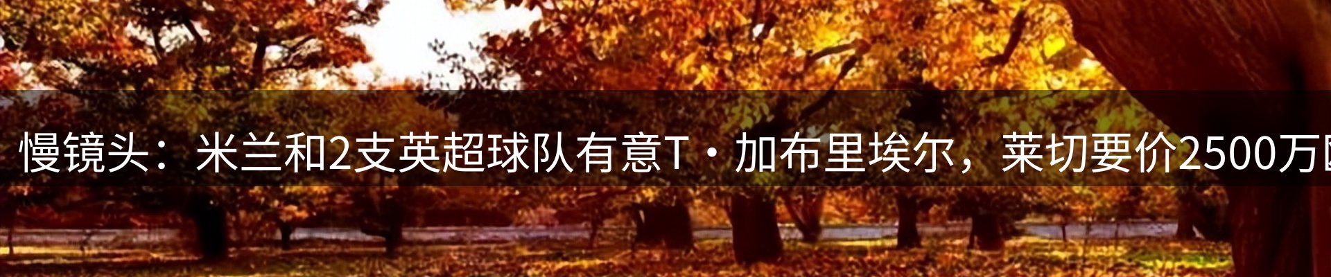 新闻动态