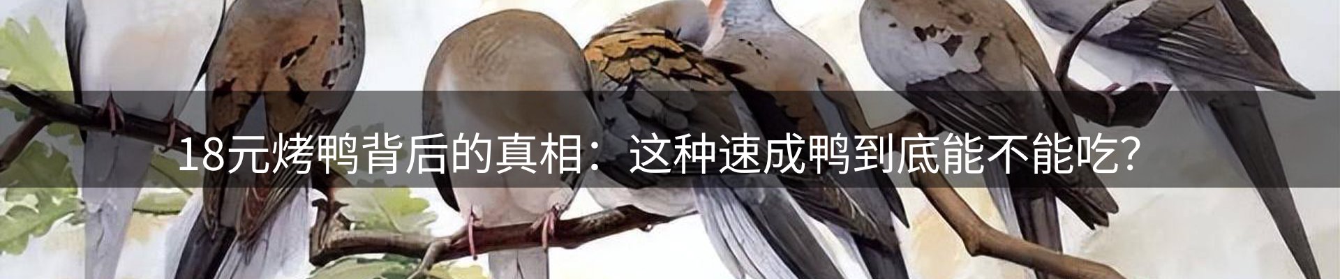 资讯集锦